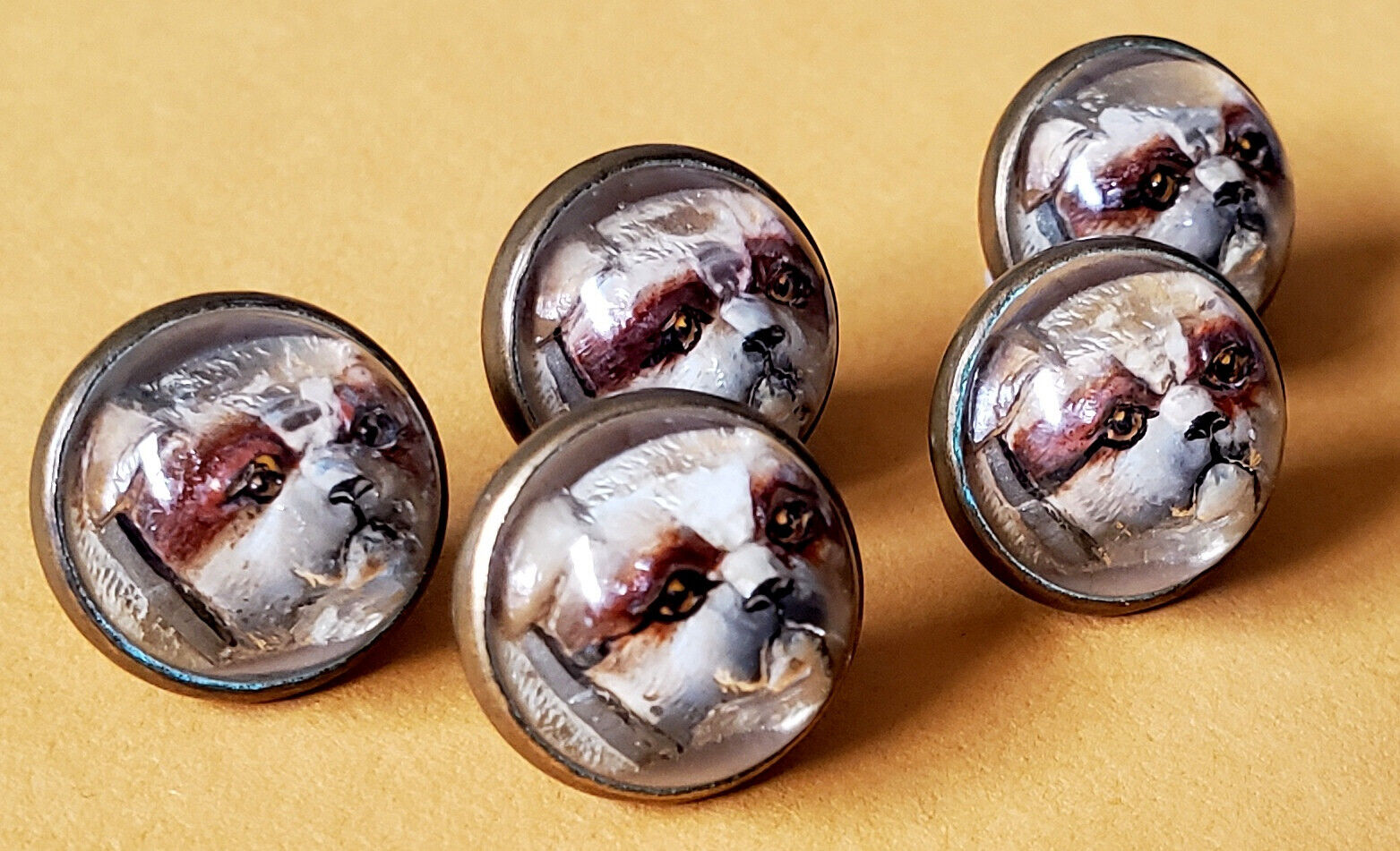 5 Antique Bulldog Essex Crystal Type Waistcoat Buttons Dogs Intaglio Set 3-d