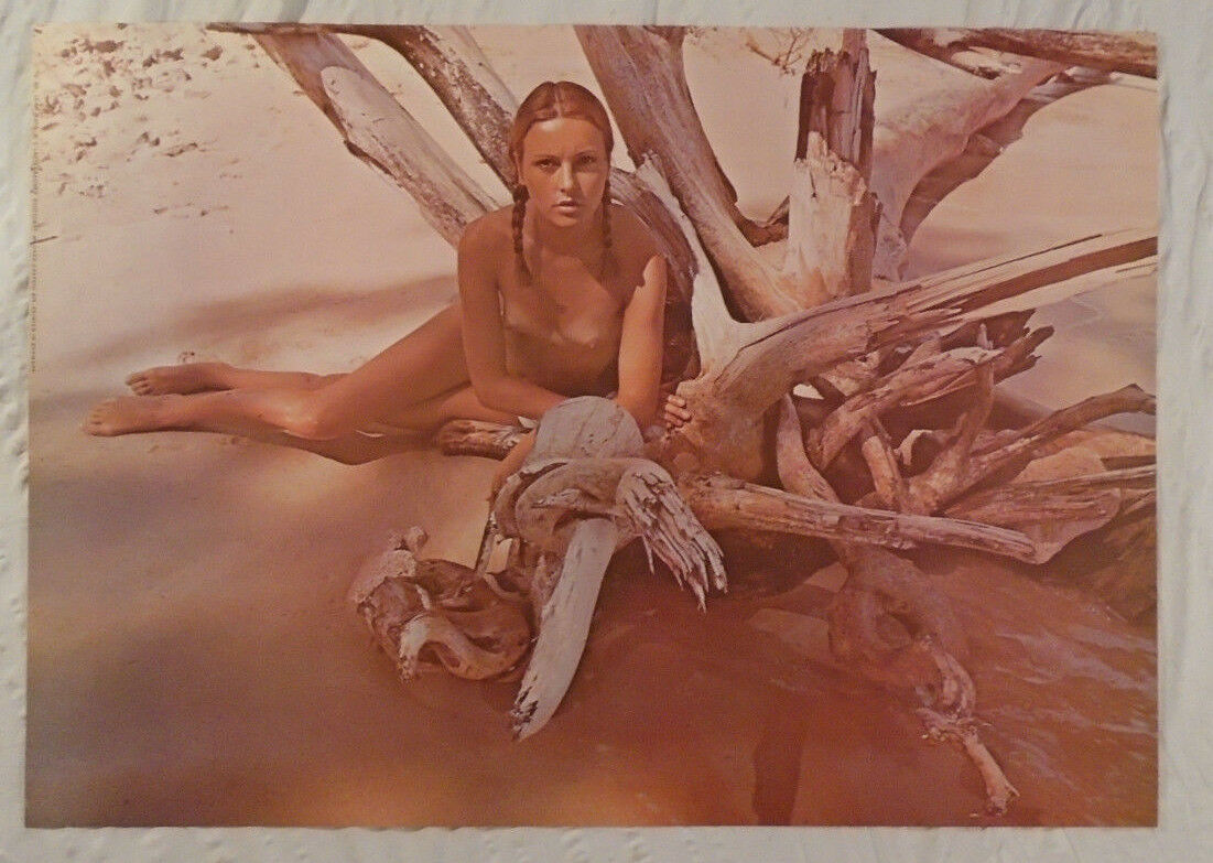 Lena 1973 Poster Nude Girl With Driftwood Wagner Graphics Stuttgart