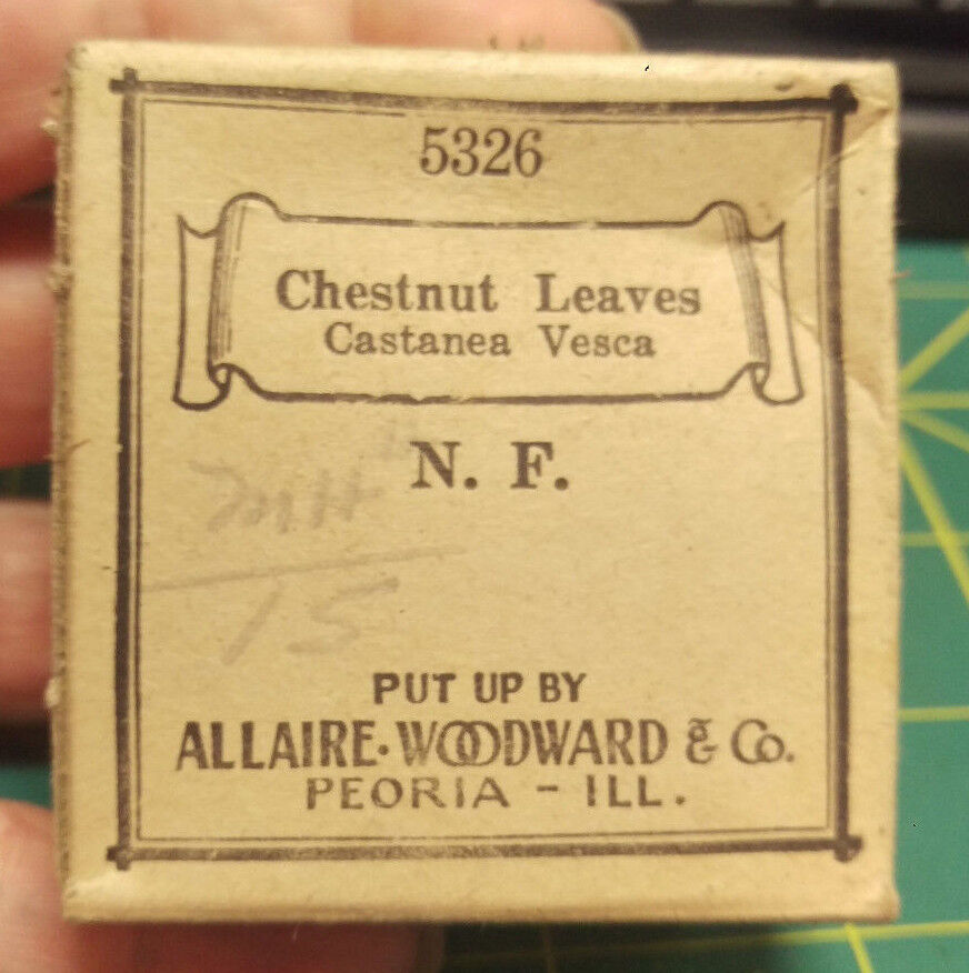 Vintage Unopened Chestnut Leaves - Allaire Woodward & Co -  New Old Stock  Nos