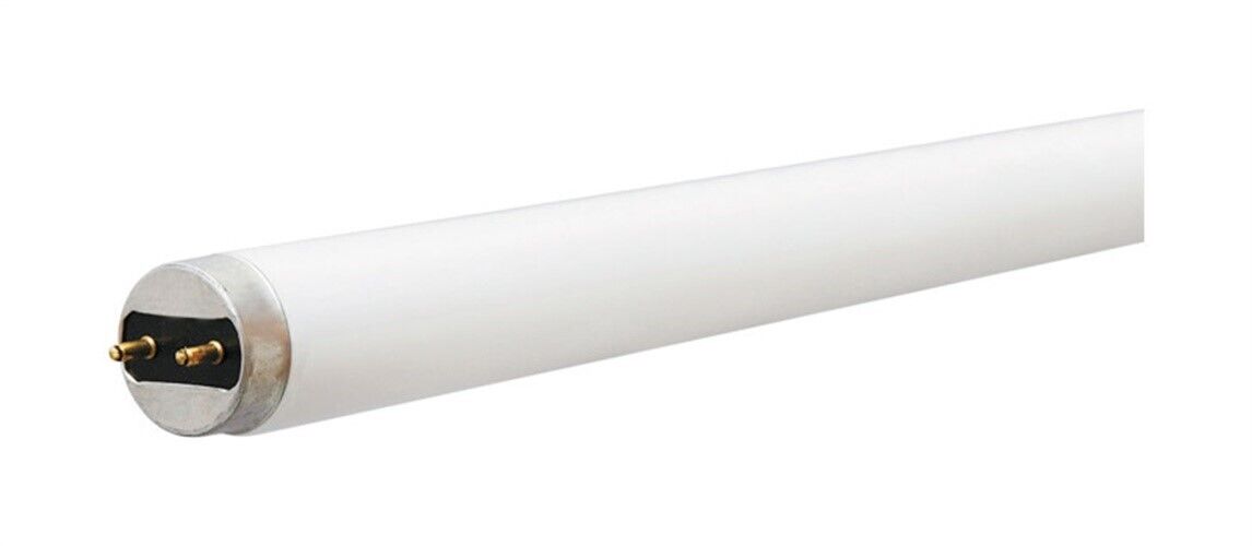Ge 32 Watts T8 48 In. White Fluorescent Bulb 2900 Lumens Linear (pack Of 12)