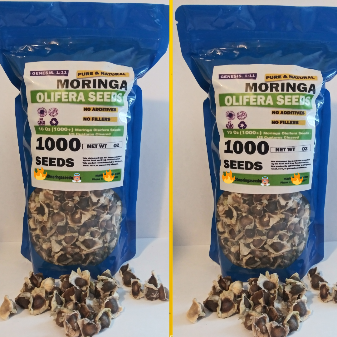 Moringa seeds 1000+ seed semillas de moringa FRESH 100% (wesell RAIZ DE TEJOCOTE
