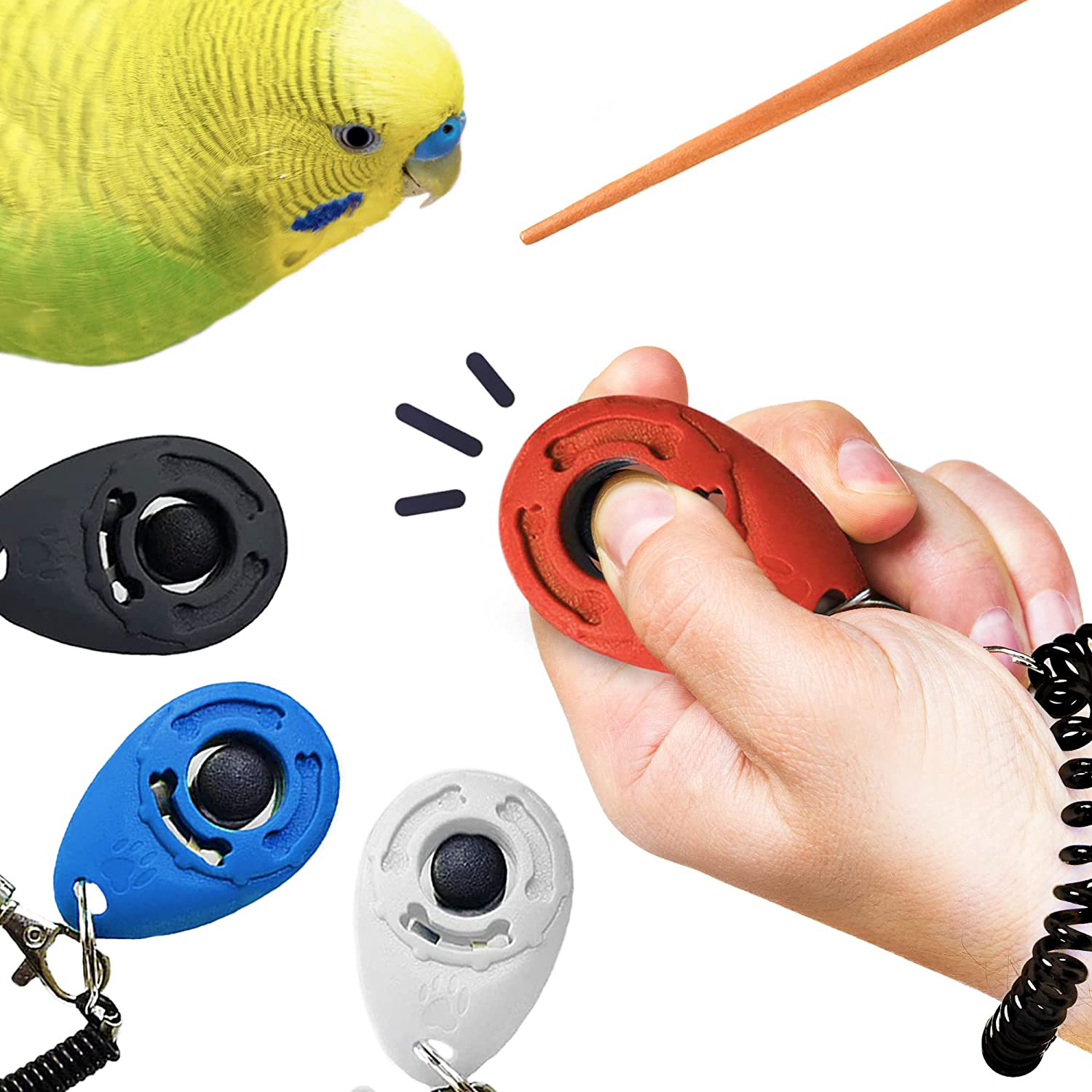 Sungrow Parrot Clickers With Black Wrist Bands, 2.4x1.8 Inches, Parrot Training