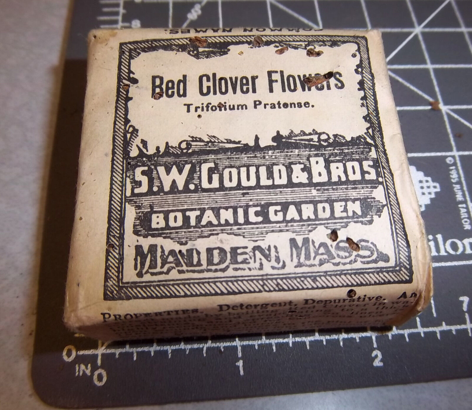 Vintage Sw Gould & Bros Bed Clover Flowers, 1900s Pharmacy New Box, Malden Mass.