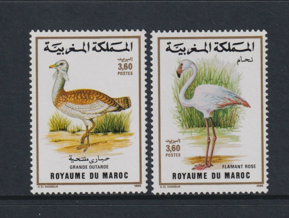 Morocco - 1988, Birds set - MNH - SG 754/5