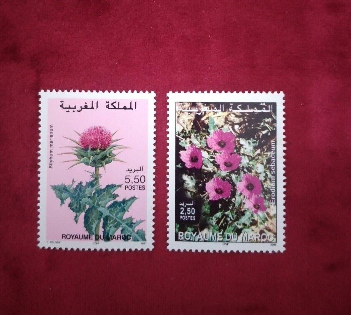 Morocco,lot of 2 stamps,MNH, stamps,1987-2005,#11
